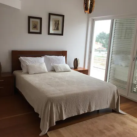 Cotovia Sesimbra